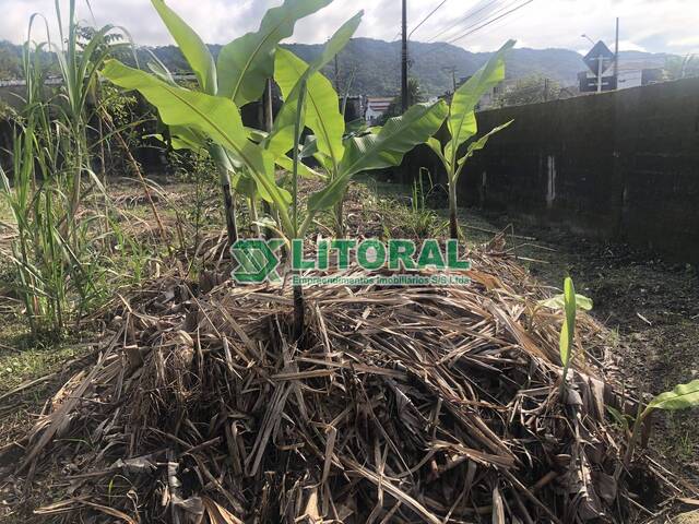 Área para Locação em Guarujá - 2